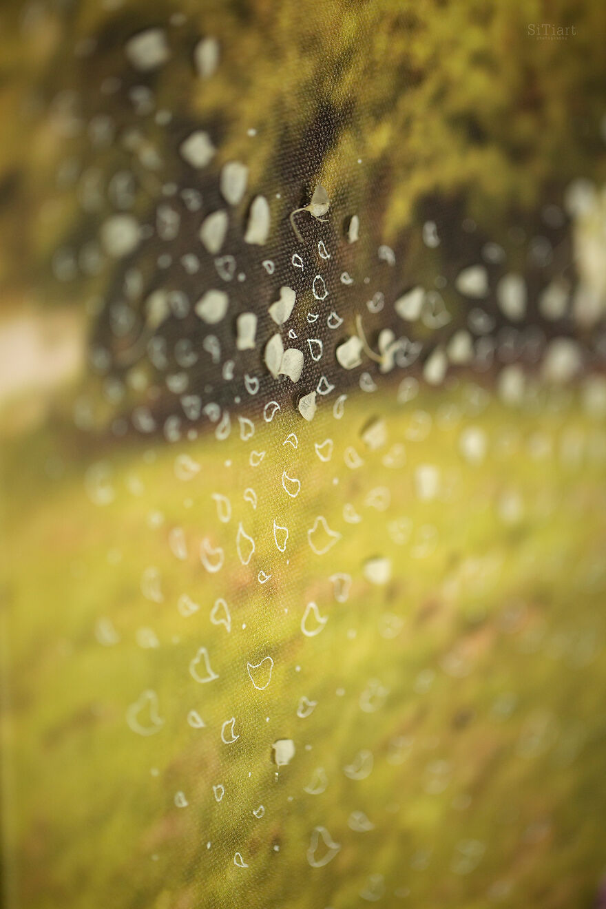 Love Speaks: The Cycle Of 12 Works Love Speaks: The Cycle Of 12 Works