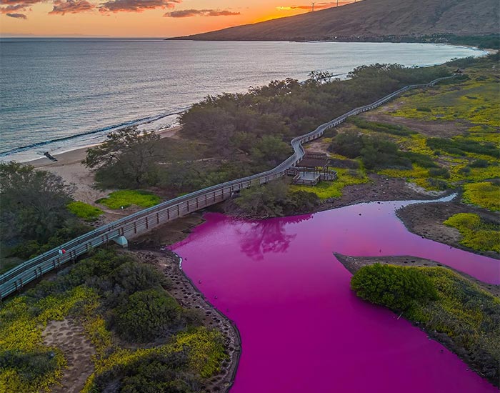 Hawaii Reservation Officials Puzzled By Pond Turning Mysteriously Pink