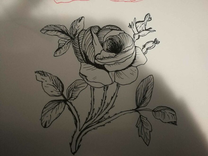 I Don't Like Receiving Flowers, But I Do Like Drawing Them