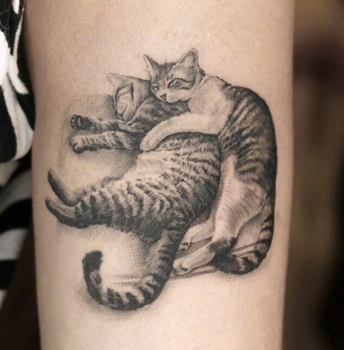 Cats Love Tattoo