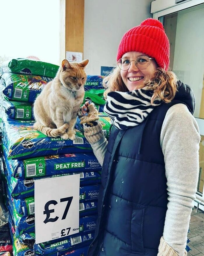 Yorkshire Tesco Cat Ban Backfires As People Threaten To Stop Shopping There If Cat Is Not Reinstated