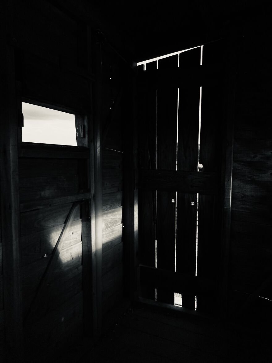 My Phone Photography Tips (33 Pics) My Phone Photography Tips (33 Pics)