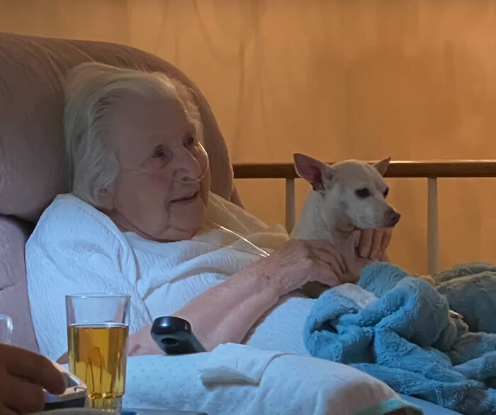 "Gucci trajo alegría a la casa": Una mujer de 100 años adopta a un perro de 11 años que nadie quería