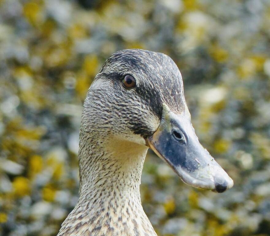 My Phone Photography Tips (33 Pics) My Phone Photography Tips (33 Pics)