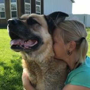 caninecommunities avatar