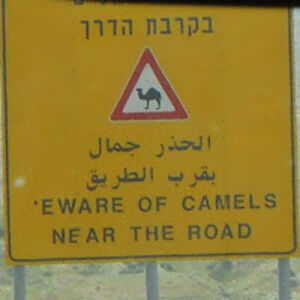 agoincre8iv_1 avatar