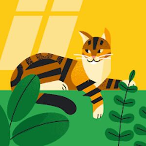 xenageracixena avatar