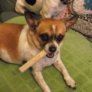 marsyandmaggie avatar