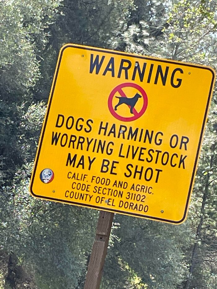 This Sign By My Local River Spot That I've Been Seeing Since I Was A Kid