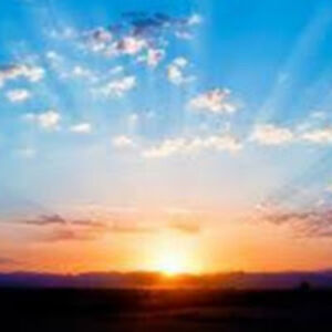 susanstewart_1 avatar