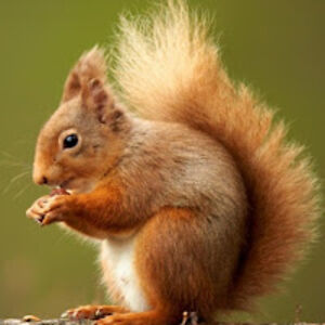 andrewmartin_2 avatar