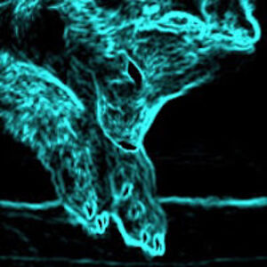 ivonedefigueiredo avatar