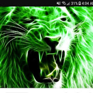 tinadonaldson avatar