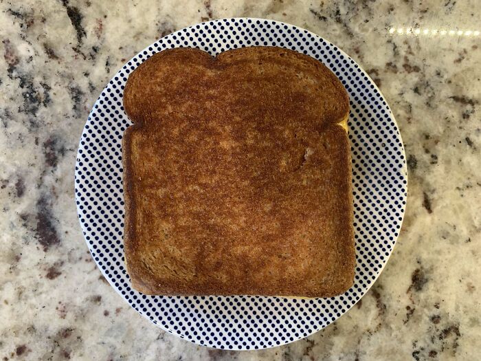 This Grilled Cheese I Just Made
