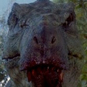 arbokloveryahoo_com avatar