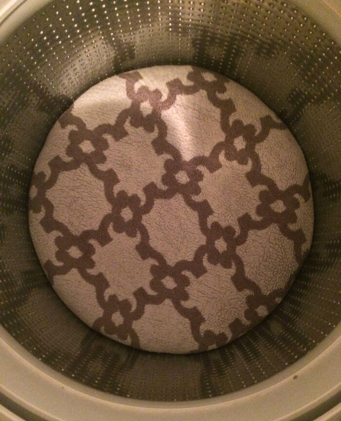 My Wife Opened A Washing Machine Full Of Towels And Found It Just Like This After The Cycle