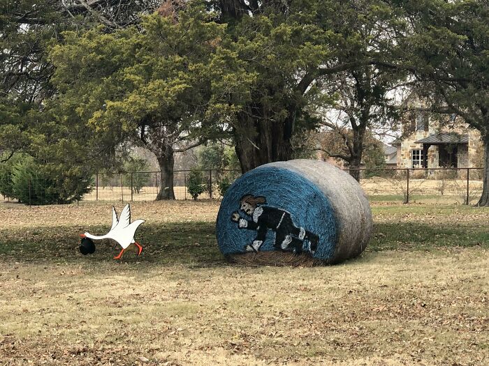 Thanksgiving Decorations In Wylie