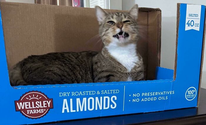 He Sells Almonds