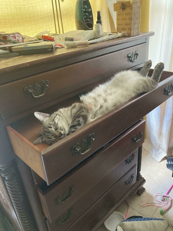 Sleeping In A Drawer. Again
