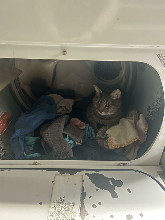 Good Thing I Checked The Dryer