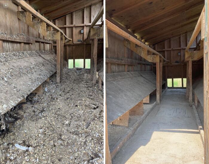 Farm Cleaning - Old Chicken Coop Before & After. Two People & Two Shovels Later