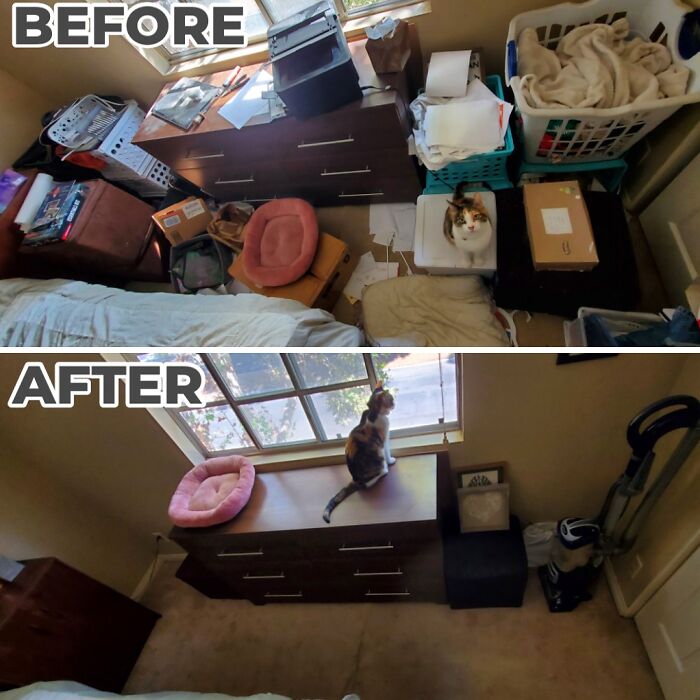 Before And After: The Bedroom Abyss