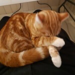 gunnar_terminal avatar