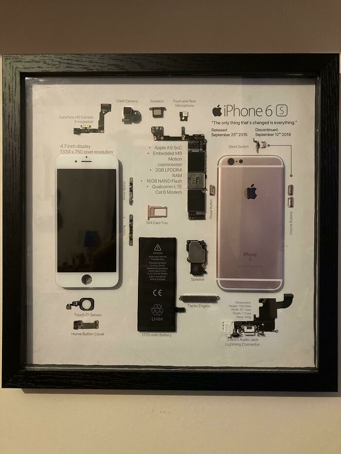 I Created This Exploded View Of My Sisters Dead iPhone