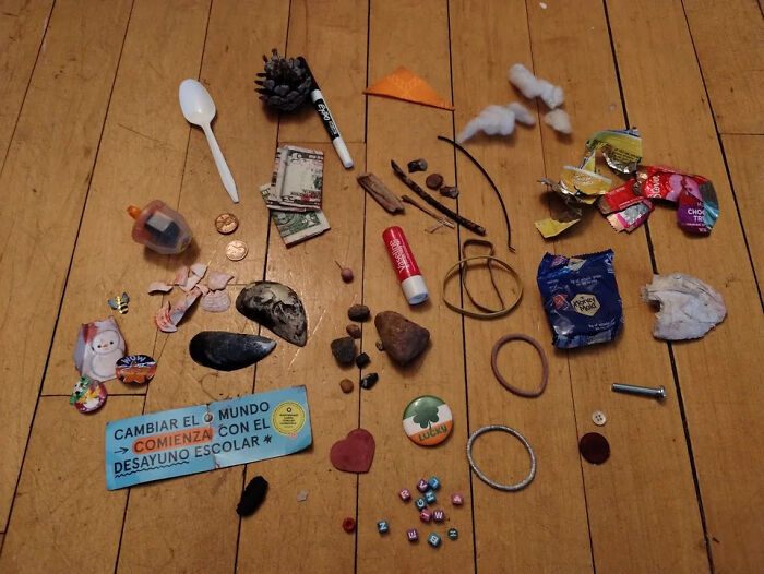 The Contents Of One Of My 6 Year Old Daughter's Coat Pockets