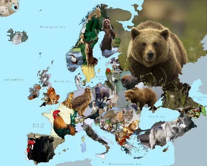 Animales nacionales de Europa
