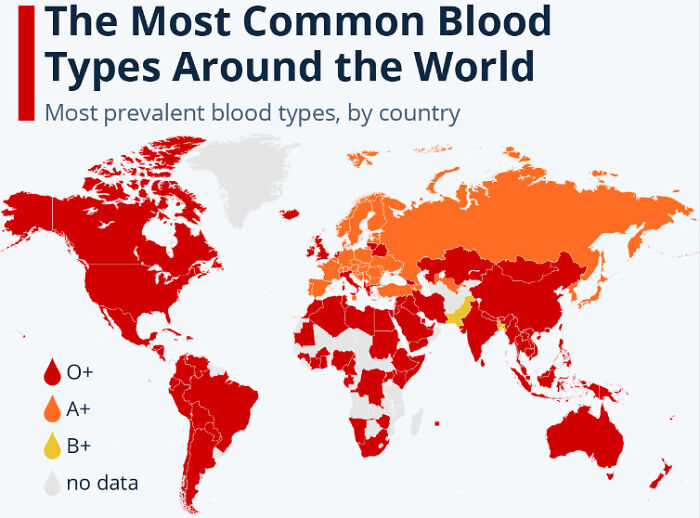 The Most Common Blood Type Around The World
