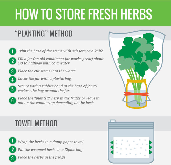 Making Your Herbs Fresh Every Time You Cook Or Giving Them A Longer Shelf Life
