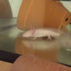 honzikkankacaptain_john123 avatar