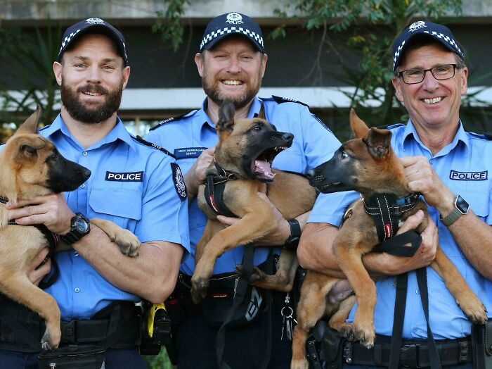 The West Australian Police Force Has Three New Recruits