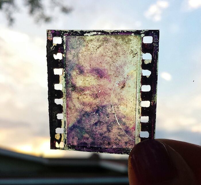 Creepy Photographic Slide Found In Our Garden