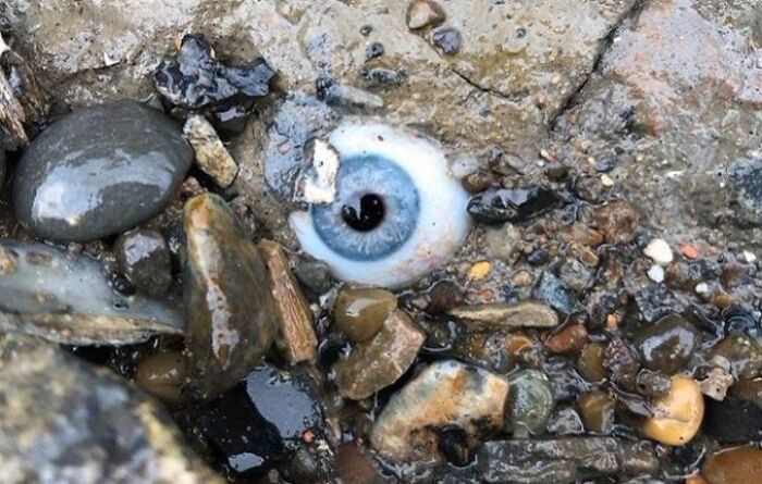 Guy Found A Glass Eye Embedded In The Rock At A Beach