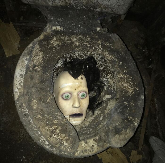 I’m A Contractor. Bought An Abandoned/Foreclosed Home To Renovate. This Was In The Basement Bathroom