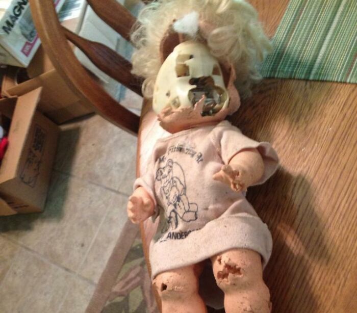 We Found A 20 Year Old Doll In Our Attic