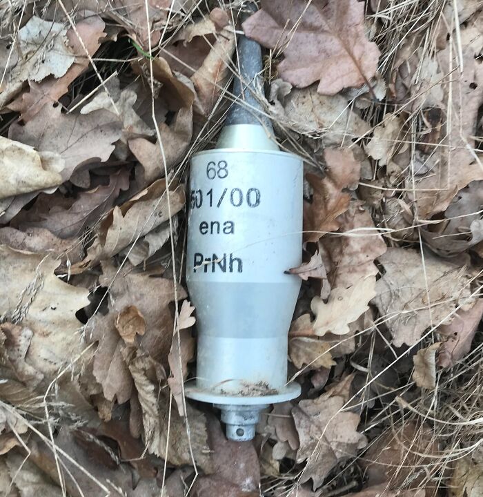 Went Hiking In The Forest And Found An Unexploded Anti-Tank Grenade Just Lying Around