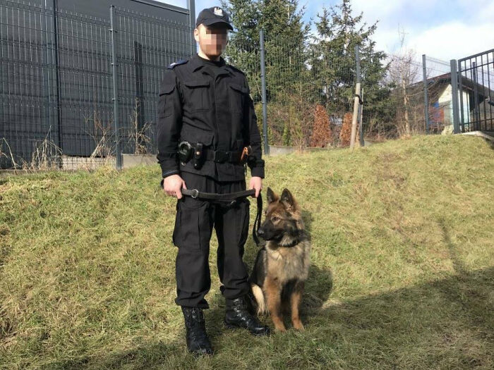 This Police Puppy Just Saved A 91-Year-Old Man From Freezing. She Had Also Caught A Dangerous Criminal On Her First Day. Meet Mania, The Polish Police