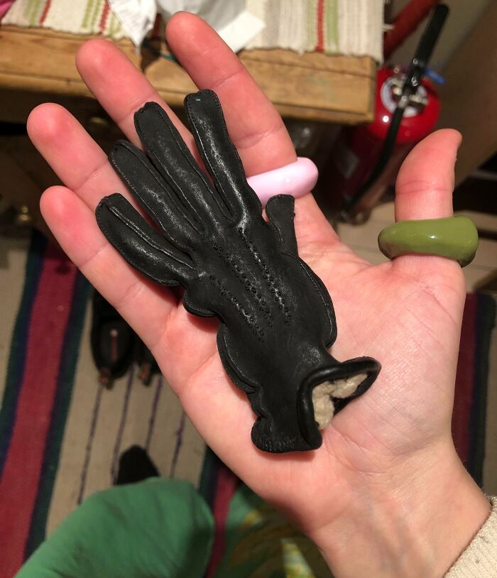 My Grandmother Accidentally Put One Of Her Leather Gloves In The Washing Machine