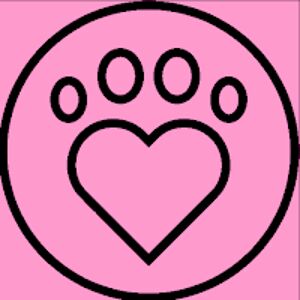 mollymitchell_1 avatar