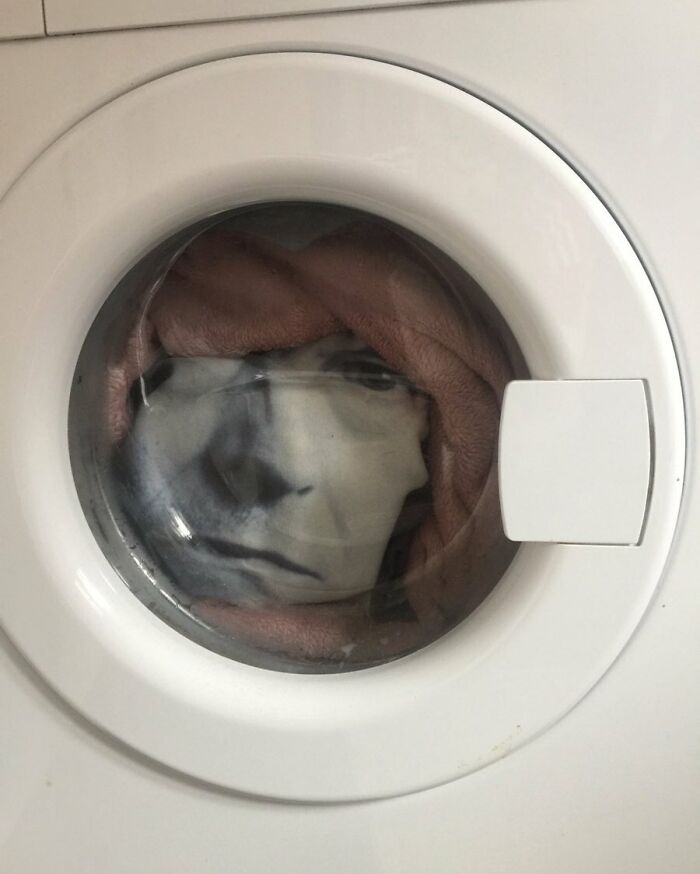 David Bowie Cushion And Dog Blanket In Washing Machine