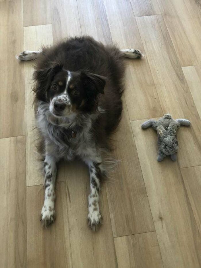 I Think I Figured Out Why Luke’s Favorite Toy Is The Bunny