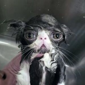 johanna_mayer1 avatar