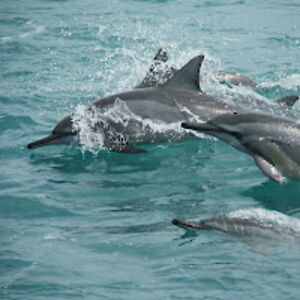 kimberlyjones_1 avatar