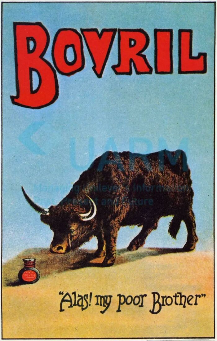 A Sad Ad. A Bull Morns His Brother Who Became Bovril Concentrated Beef Extract (1930s)