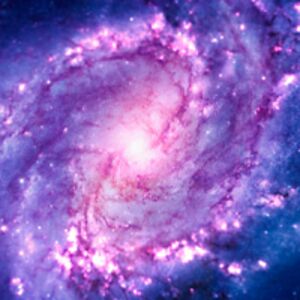 marilyndanahy avatar