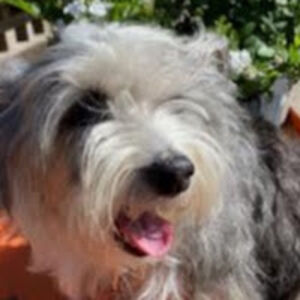 samanthaelizabethberg avatar