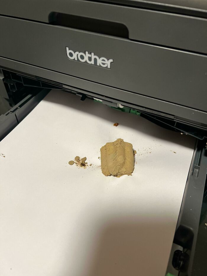 Dirt Dauber Nest In A Brother Laser Printer